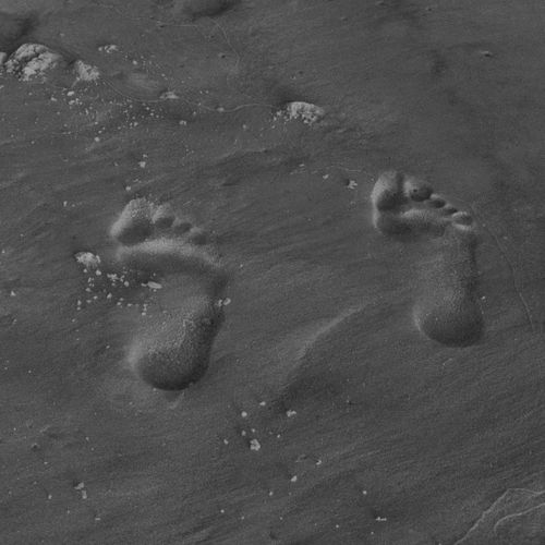 Free stock photo of beach, florida, foot print Stock Photo
