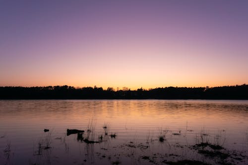 A sunset over a lake with water and grass