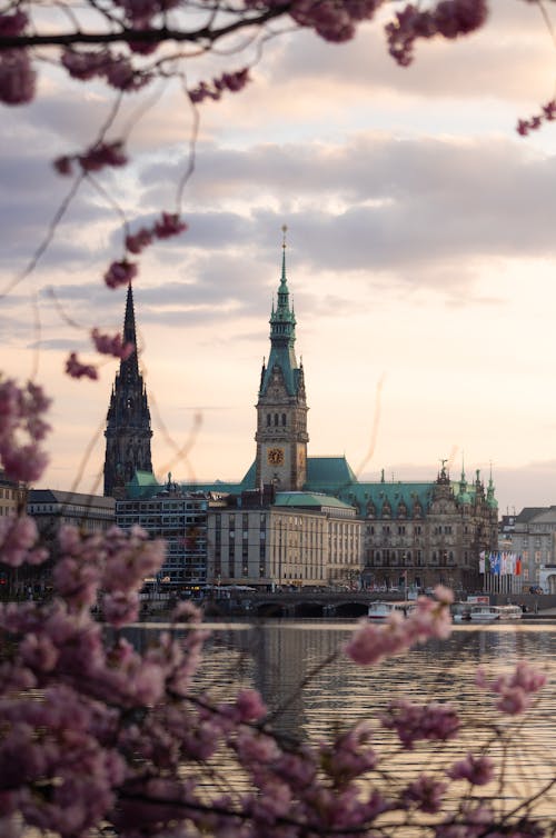 A city skyline with pink blossoms and a church