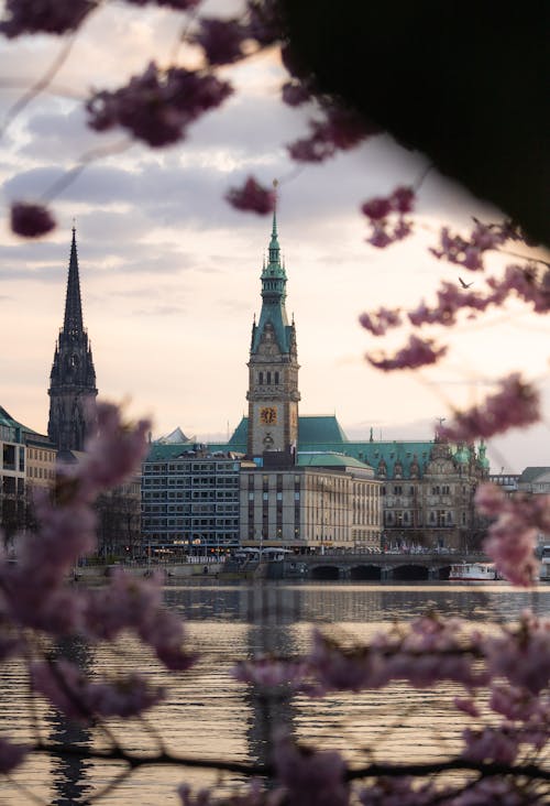 Fotos de stock gratuitas de Alemania, binnenalster, catedral