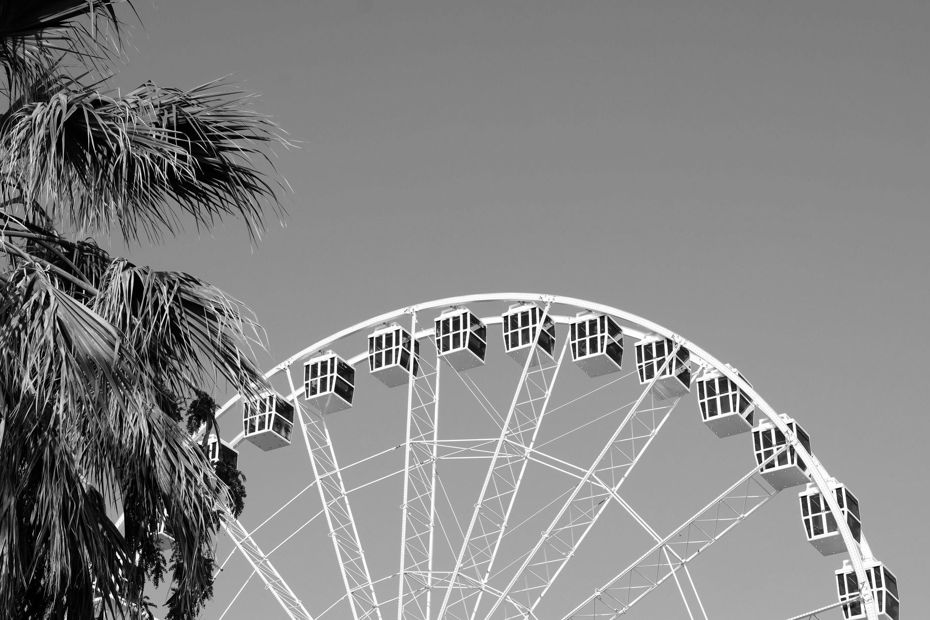 Palm Springs photo 5