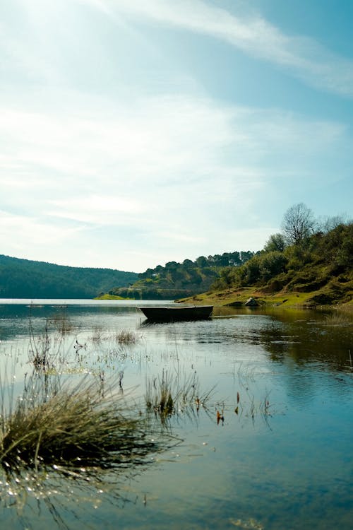 Ingyenes stockfotó biliárd, cserjék, ég témában