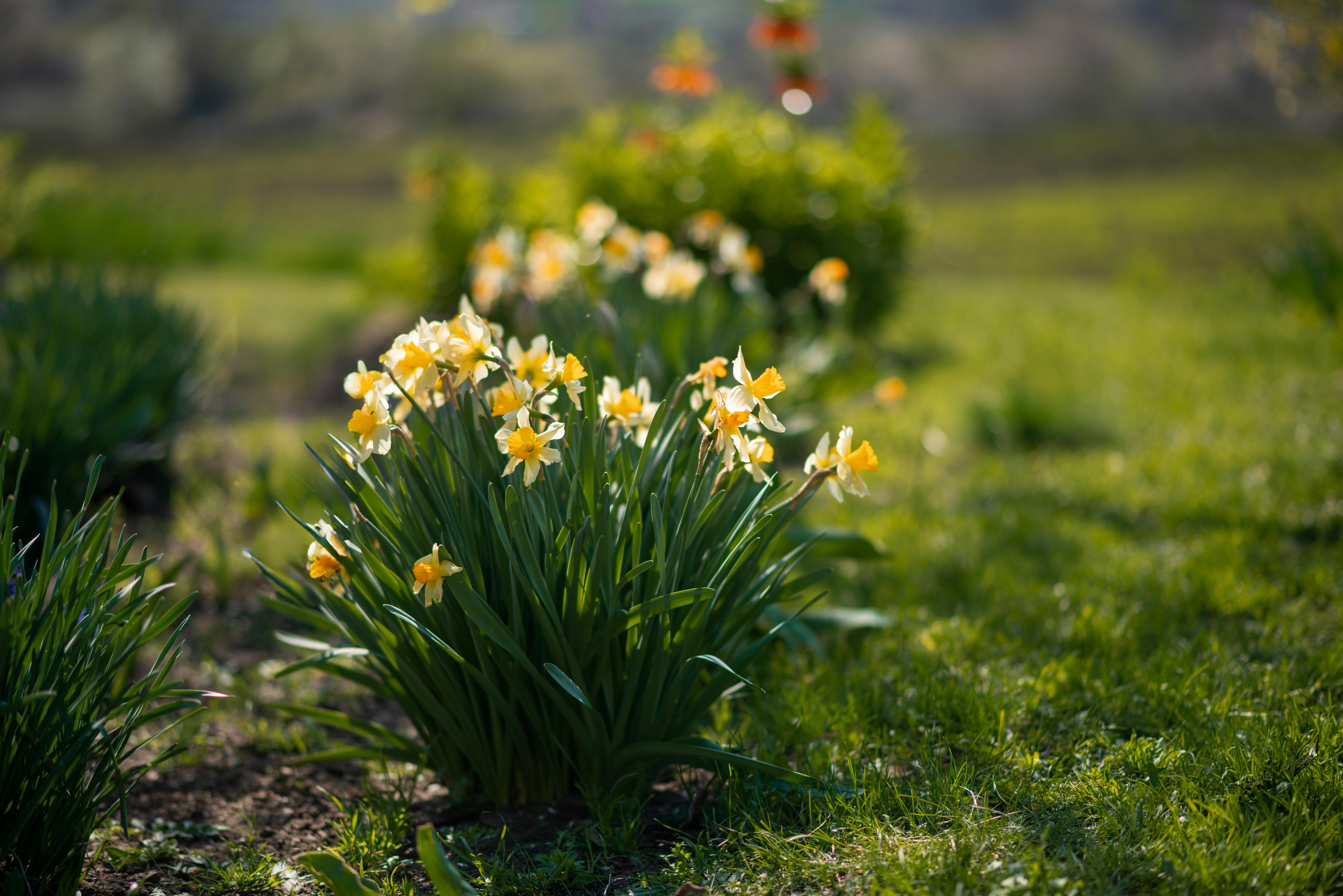 Local expert offers tips to ‘spring clean’ your beauty, skincare routine — Photo by Yuliia Patrikhalkina on Pexels