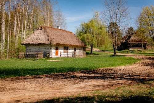 Immagine gratuita di alberi, campagna, case