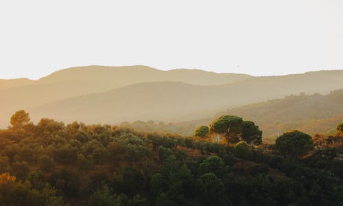Бесплатное стоковое фото с гора, закат, легкий