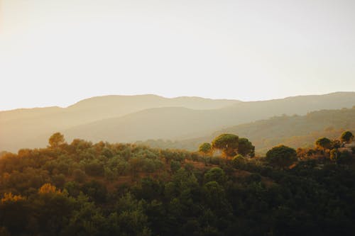 Бесплатное стоковое фото с гора, закат, легкий