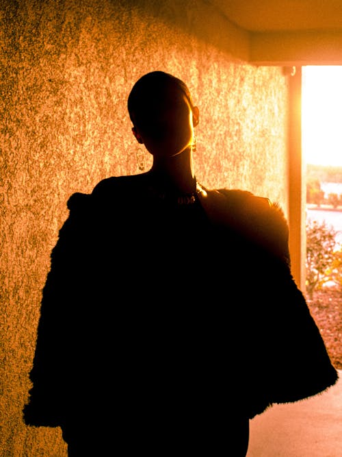 Silhouette of a Woman in the Light of the Setting Sun