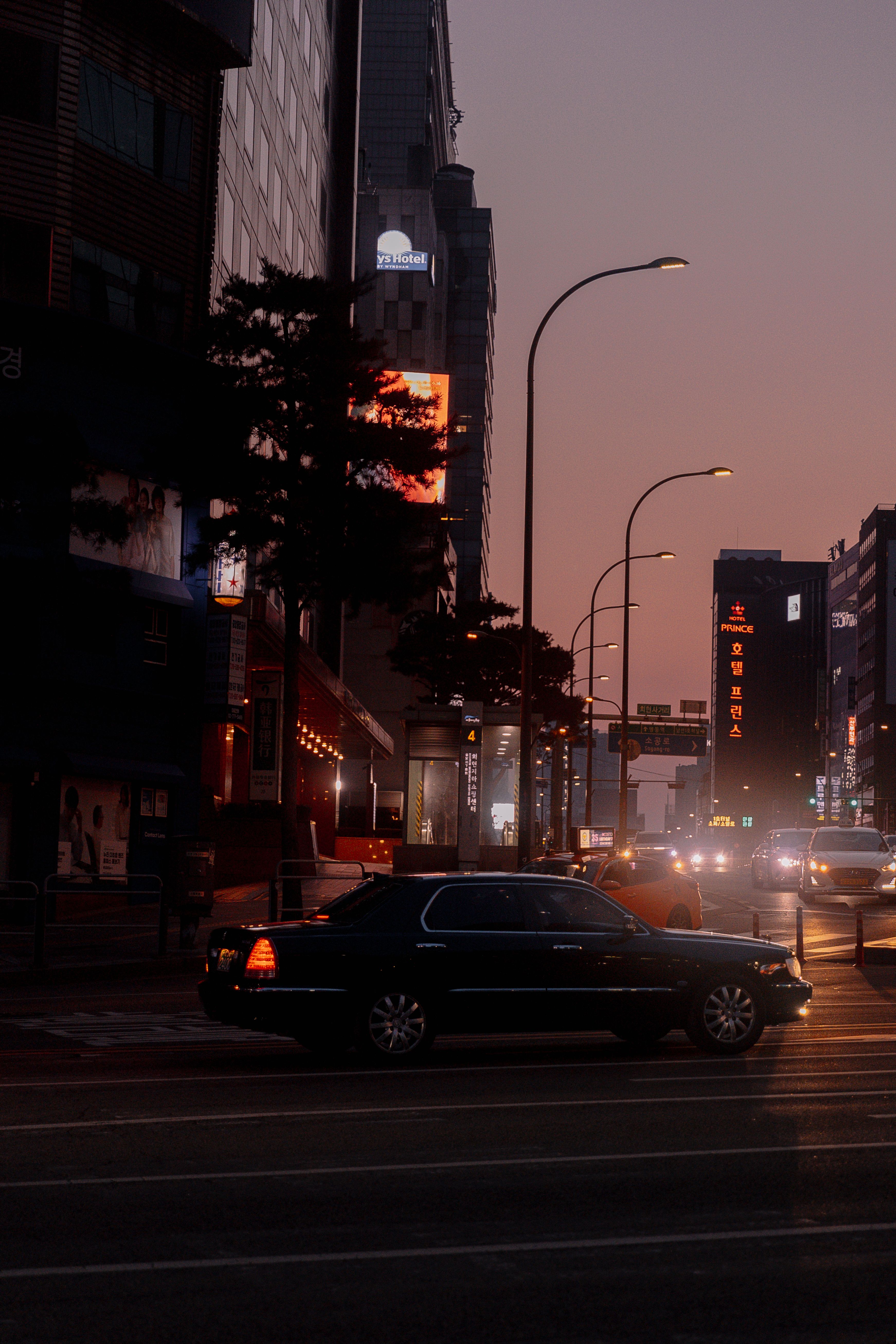 Cars on Street at Dusk · Free Stock Photo