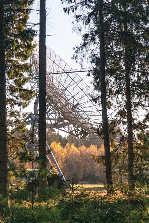 Foto profissional grátis de antena, antenas, árvores