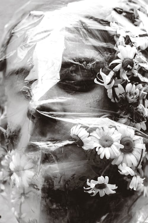 Безкоштовне стокове фото на тему «вертикальні постріл, жінка, квіти»