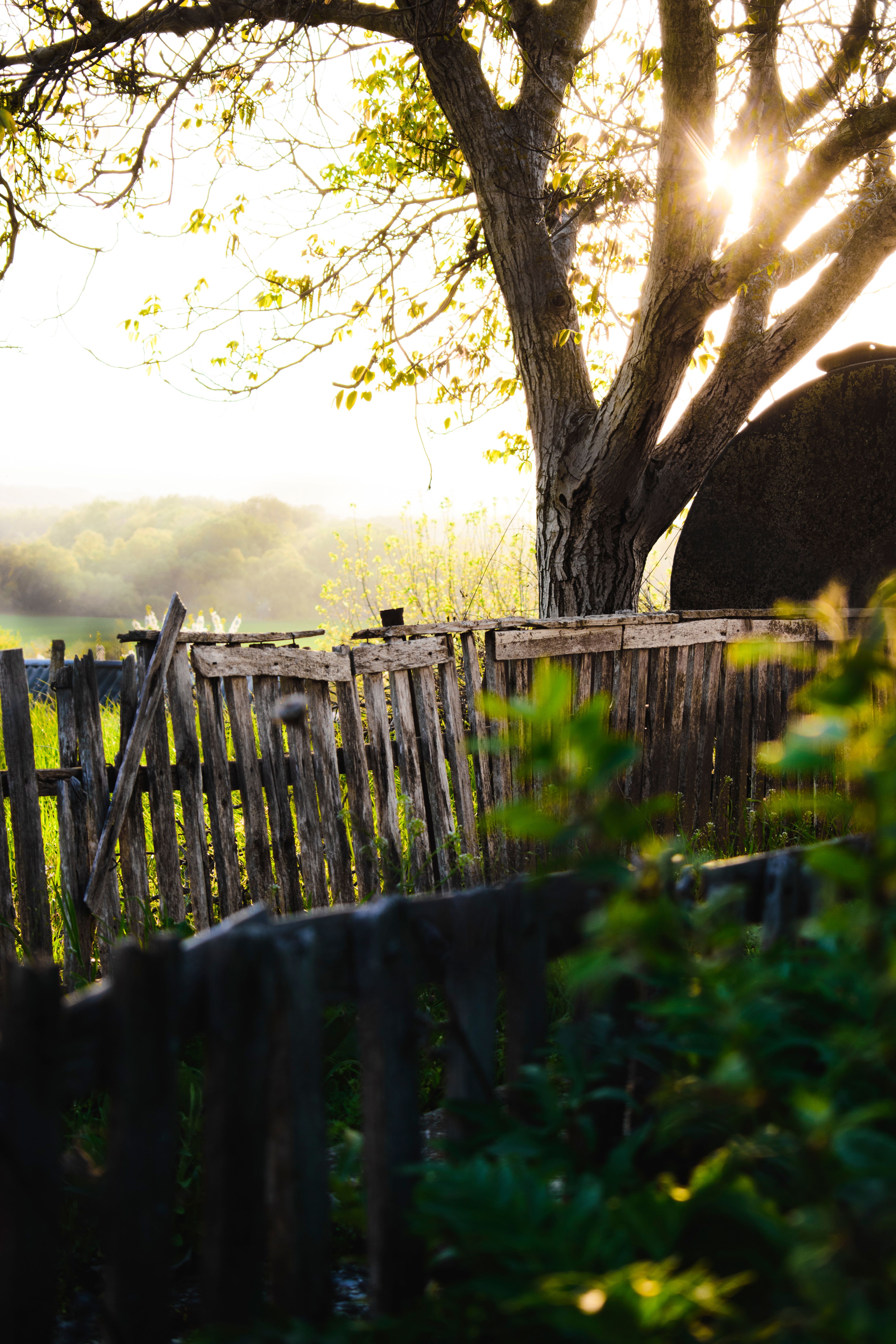 Wooden Fence on a Field in Sunlight · Free Stock Photo