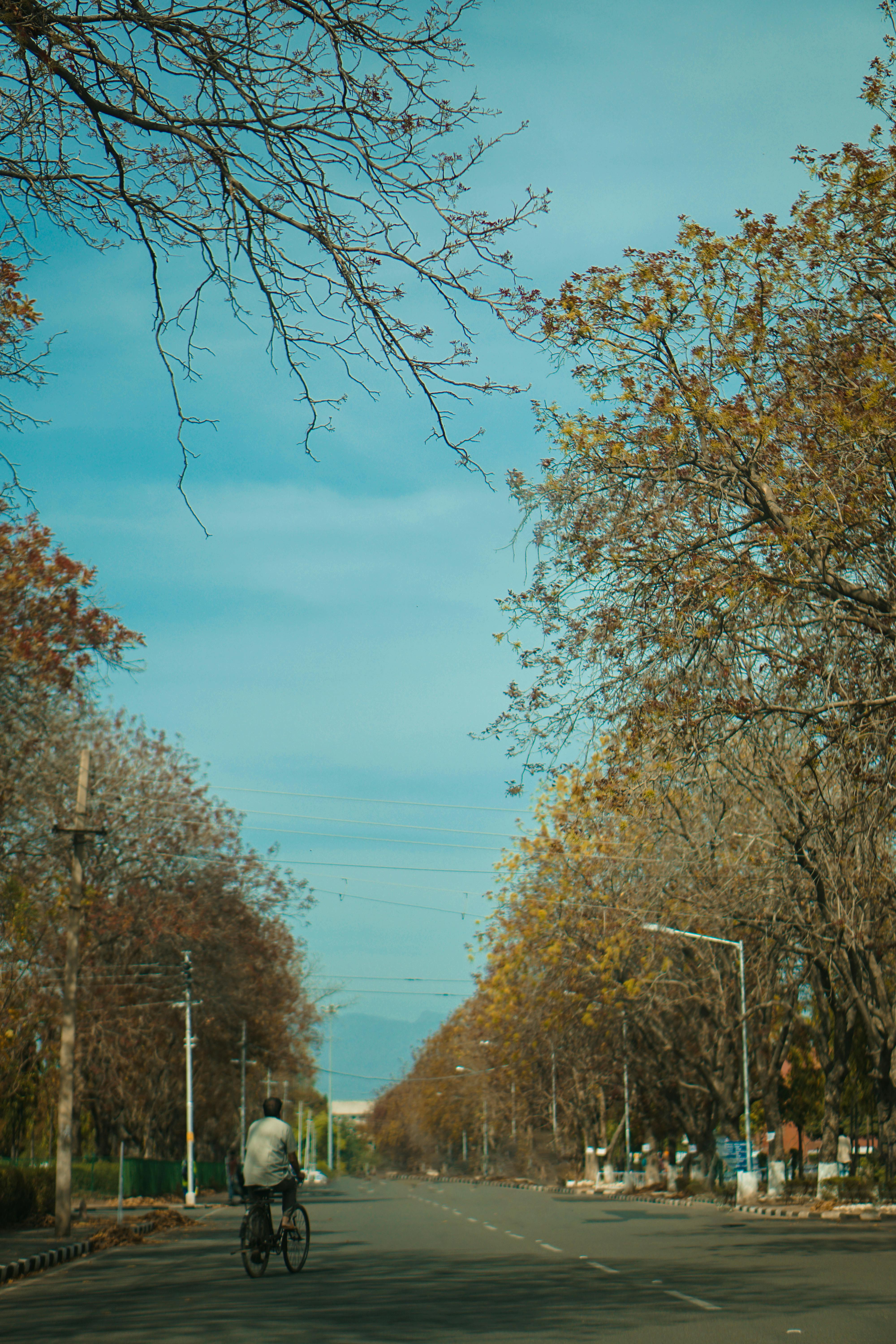 daily cycle distance