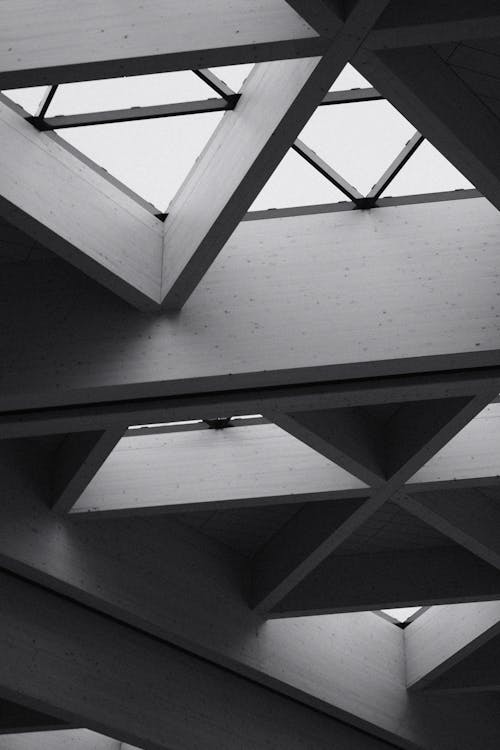 Black and white photograph of a building with a skylight