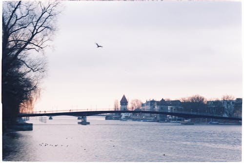 Fotobanka s bezplatnými fotkami na tému 35 mm, 35 mm film, analógová fotografia