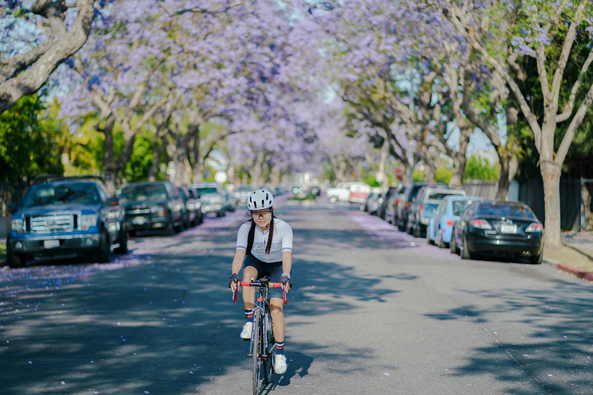 A cyclist rides under vibrant jacaranda trees in Santa Ana, CA's sunlit street.