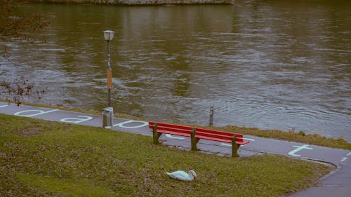 A red bench sitting on a grassy area next to a river