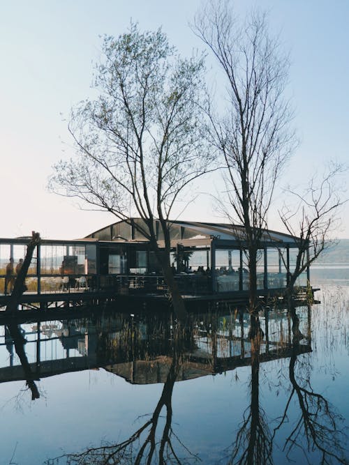 A house on the water with trees and water