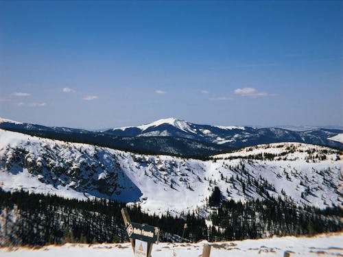 Fotobanka s bezplatnými fotkami na tému hora, Rocky Mountains, stromy