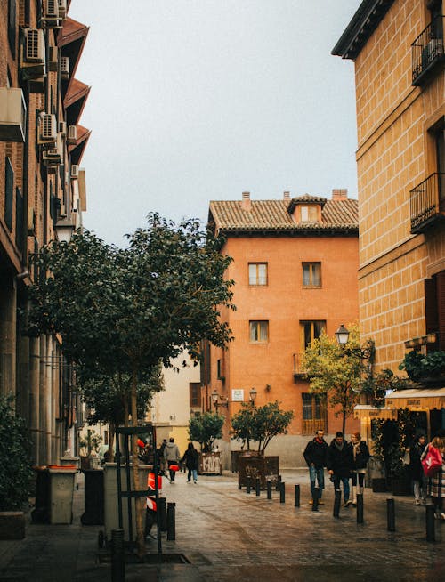 Foto d'estoc gratuïta de caminant, carrer, carrers de la ciutat