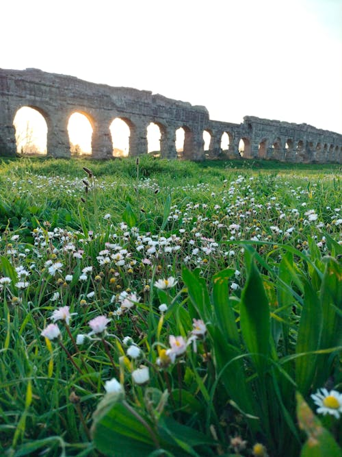 Photos gratuites de aqueduc, champ, coucher de soleil