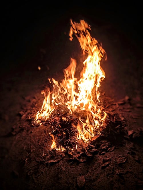 Foto profissional grátis de afetuosamente, ameaça, calor