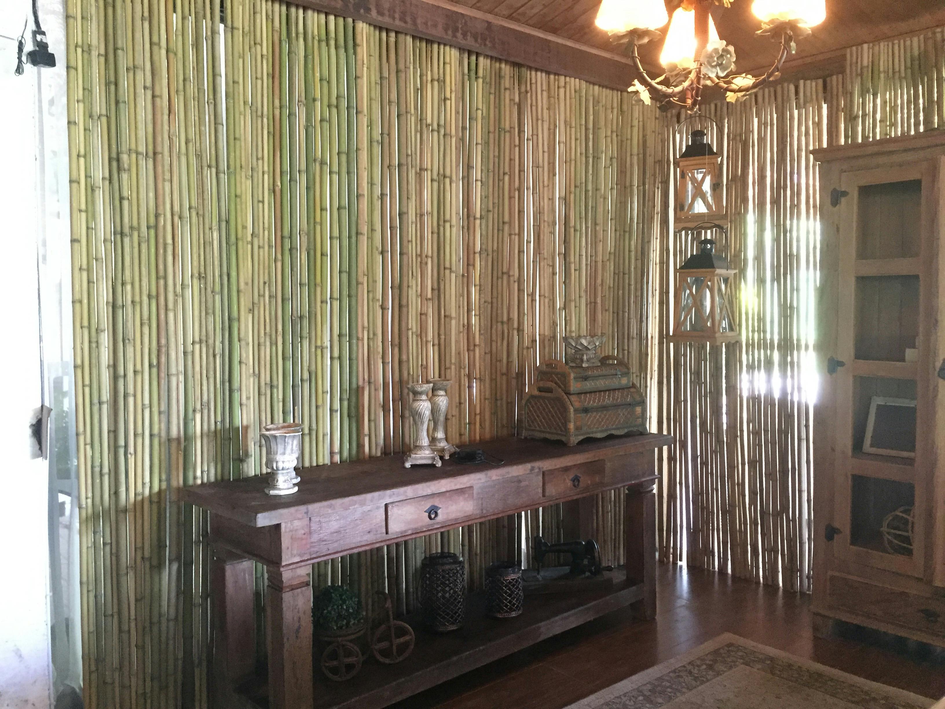 Free stock photo from Nathália · Pexels