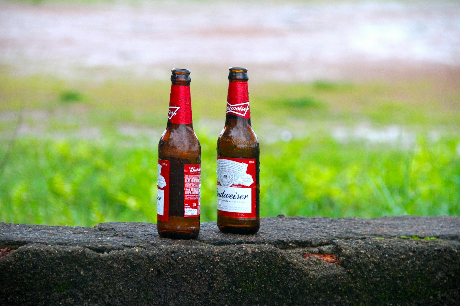 有关冷, 啤酒, 啤酒瓶的免费素材图片