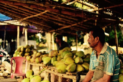 Fotobanka s bezplatnými fotkami na tému dodávateľ, fotografia z ulice, kokosové orechy