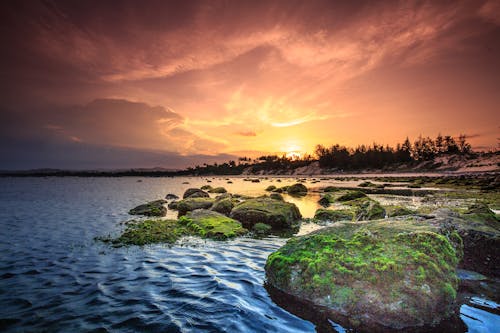 Waterlichaam En Eiland