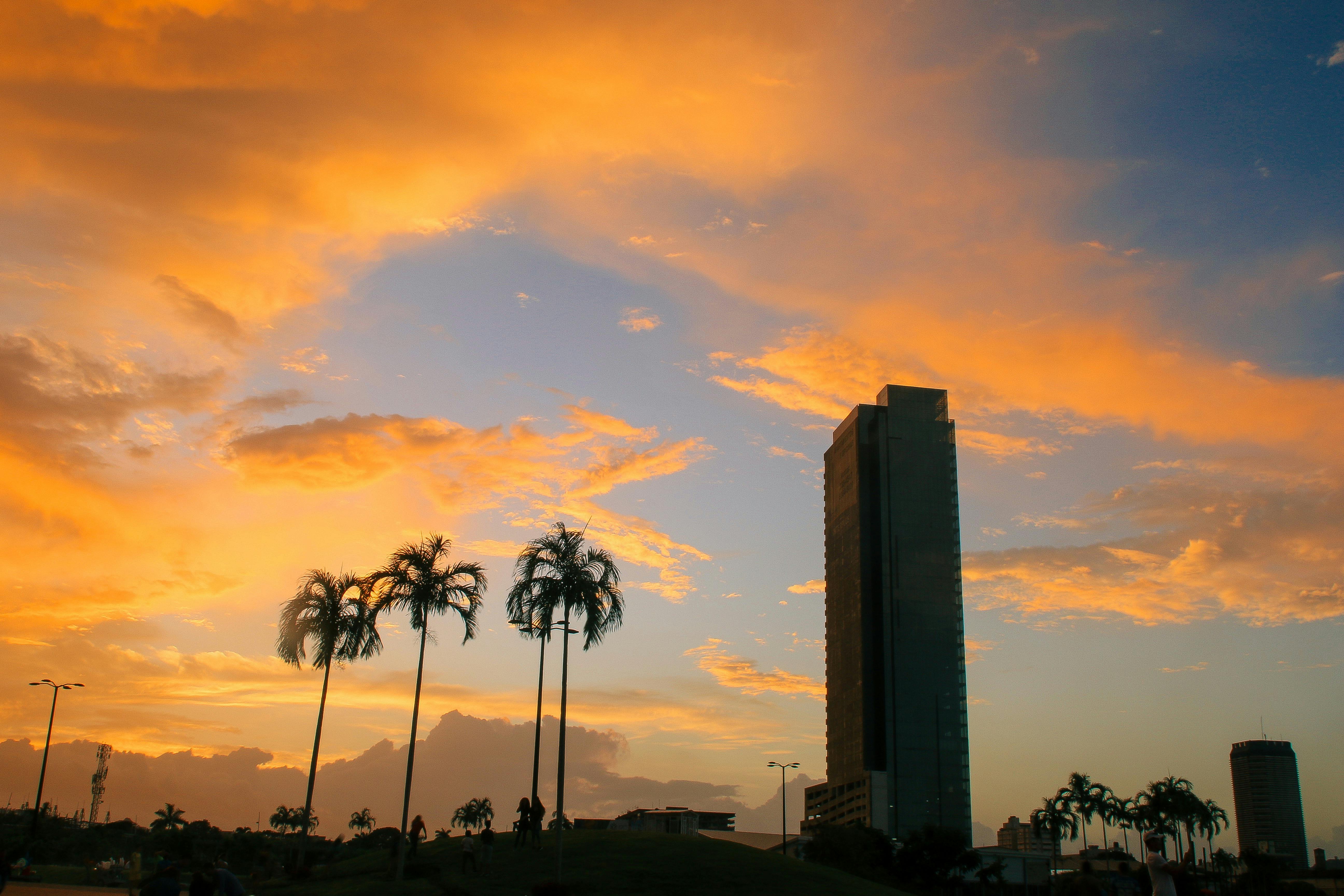 日落时分，巴拿马城的天际线、棕榈树和充满活力的云层尽收眼底