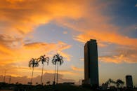 日落时分，巴拿马城的天际线、棕榈树和充满活力的云层尽收眼底