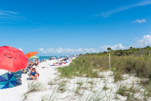 Free stock photo of beach, beach chairs, beautiful