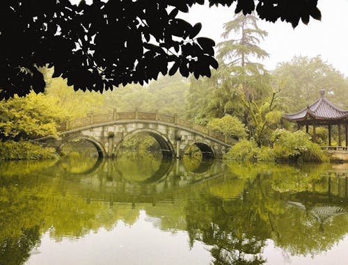 Free stock photo of bridge, clear water, forest