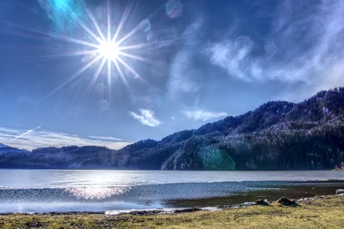 Kostenloses Stock Foto zu bank, bäume, berge