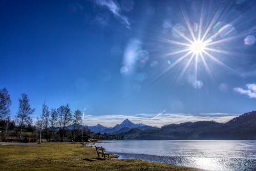 Kostenloses Stock Foto zu bank, bäume, berge