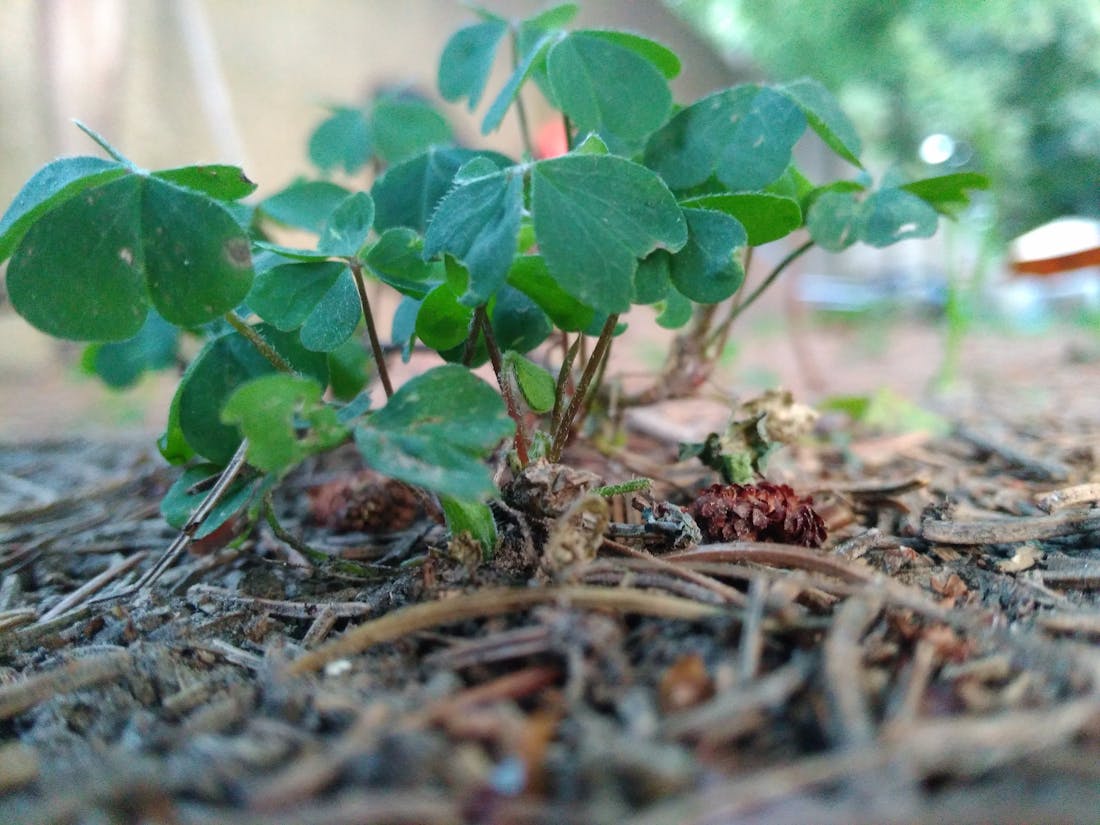 Full-circle blush maxi dress twirling in motion