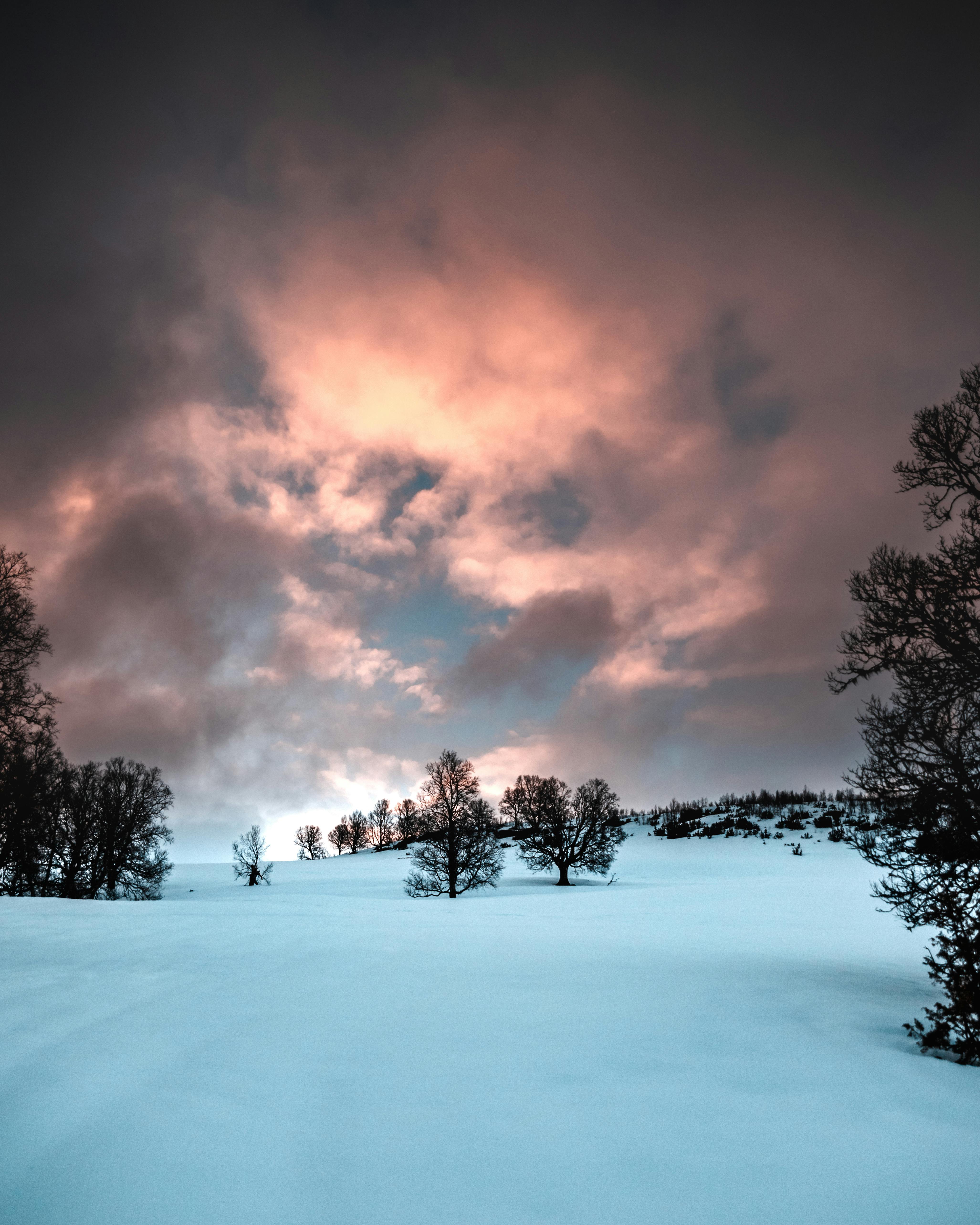 Winter Background Photos, Download The BEST Free Winter Background Stock  Photos & HD Images