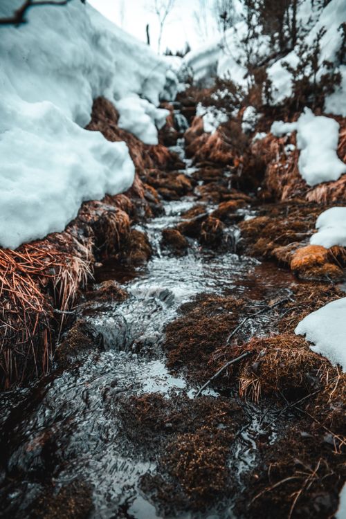 Free A tranquil winter stream flowing through snow-covered landscape in Troms, Norway. Stock Photo