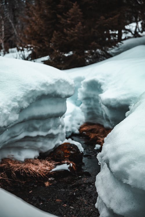 Field of Snow