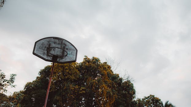 A vintage outdoor basketball hoop set against trees and a cloudy sky.