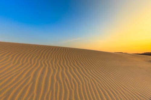 бесплатная Поле коричневого песка Стоковое фото