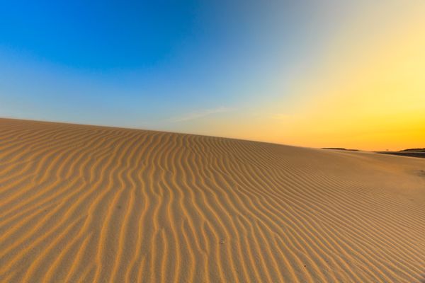 Golden sand dunes stretching to the horizon at sunrise