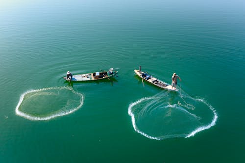 Free Photo Of People Catching Fishes  Stock Photo