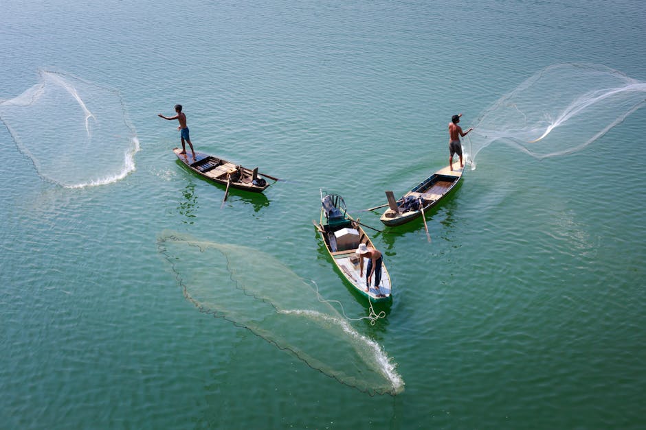 Foto de Fakaofo Canoe Traditions