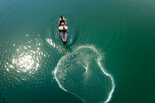 Free Aerial shot of a fisherman casting a net from a boat in serene, sunlit waters. Stock Photo