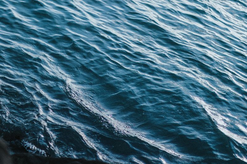 Water Element Personality Traits in BaZi: A Complete Guide (2026)