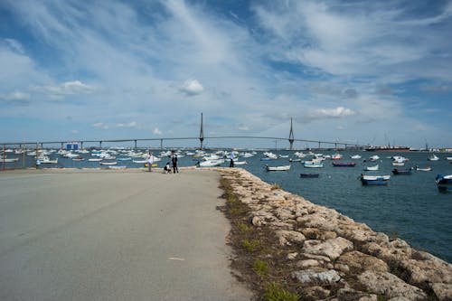 Free stock photo of blue sky, boats, bridge