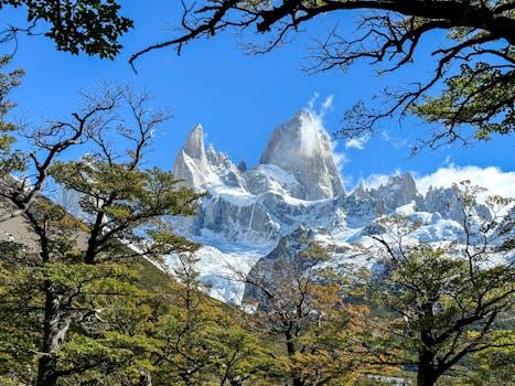 Santa Cruz De La Sierra, Bolivia photo 3