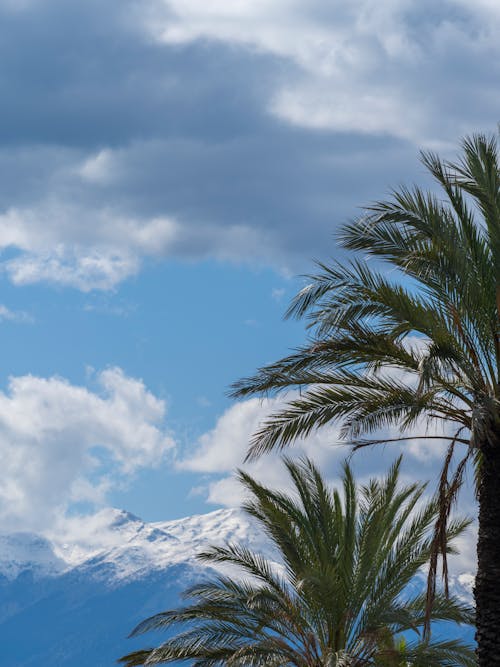 Immagine gratuita di cielo azzurro, coperto di neve, montagne