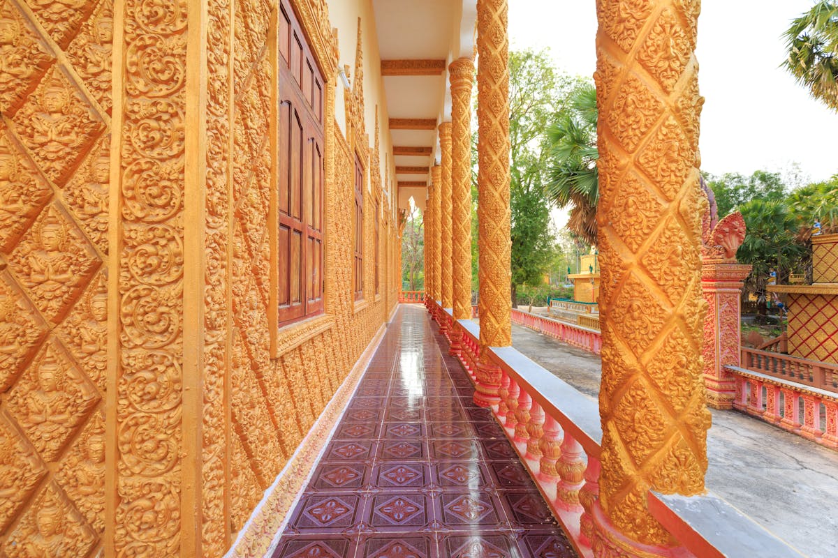 Hamster enano ruso: cuidados, jaula y alimentación